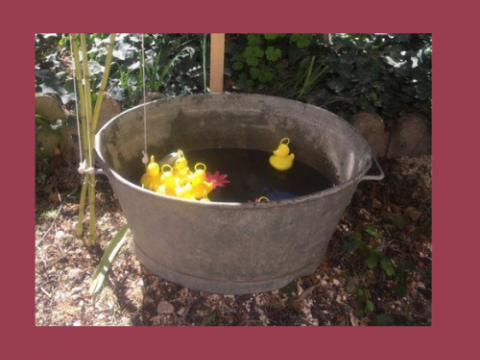 Pack bassine pêche aux canards