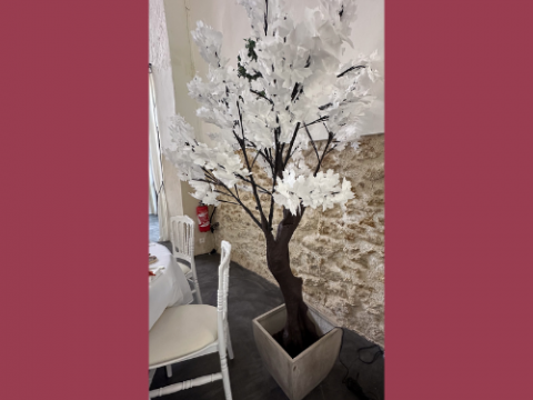 Cerisier led (2)