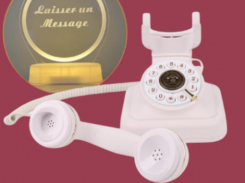 Livre d'or audio 1980